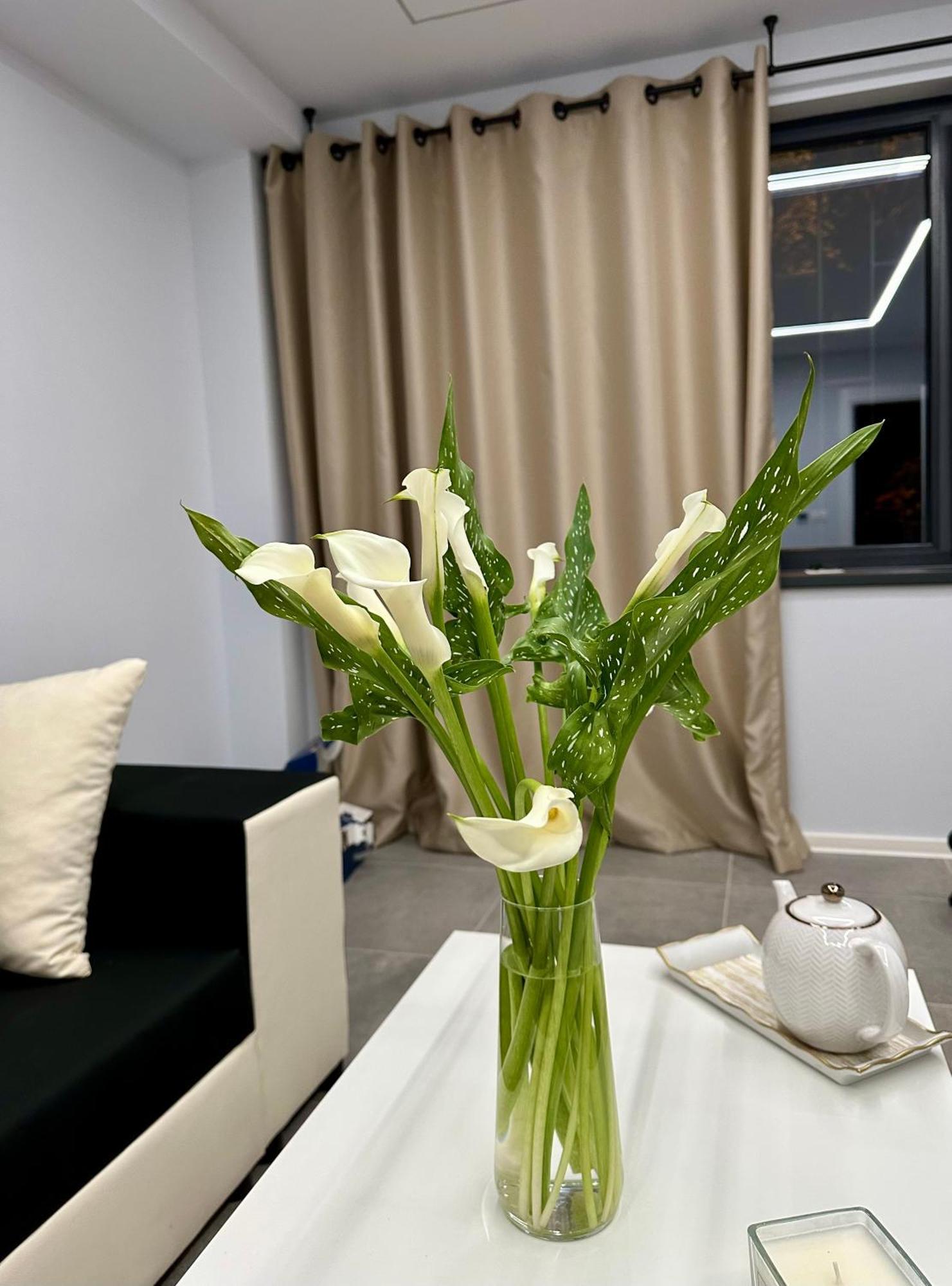 Ppu Home Timişoara Extérieur photo