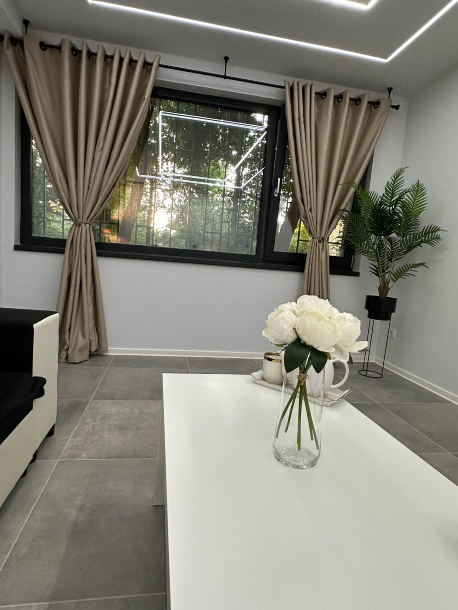 Ppu Home Timişoara Extérieur photo